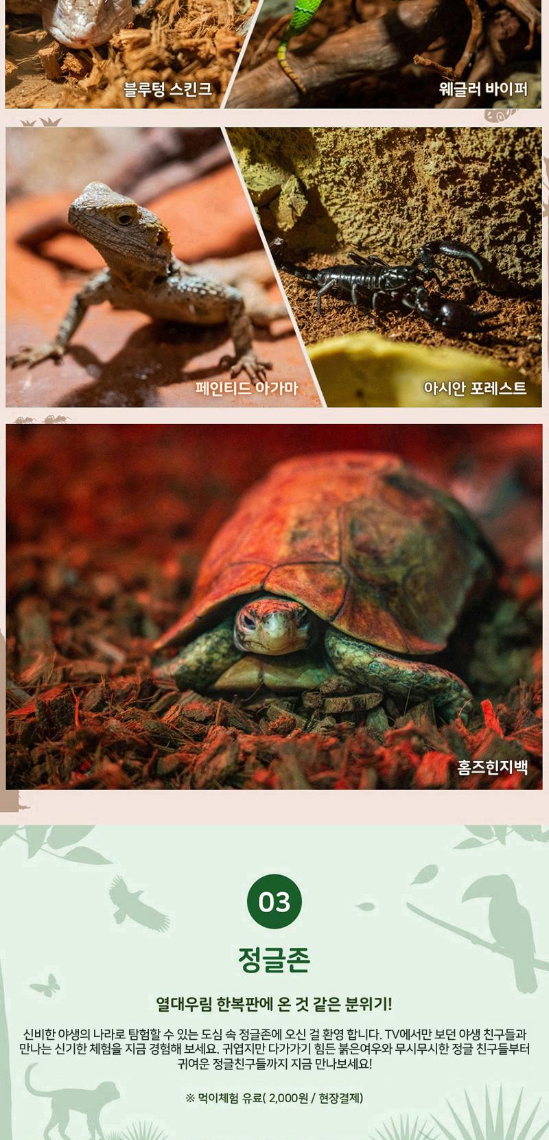 상품 상세 이미지 6