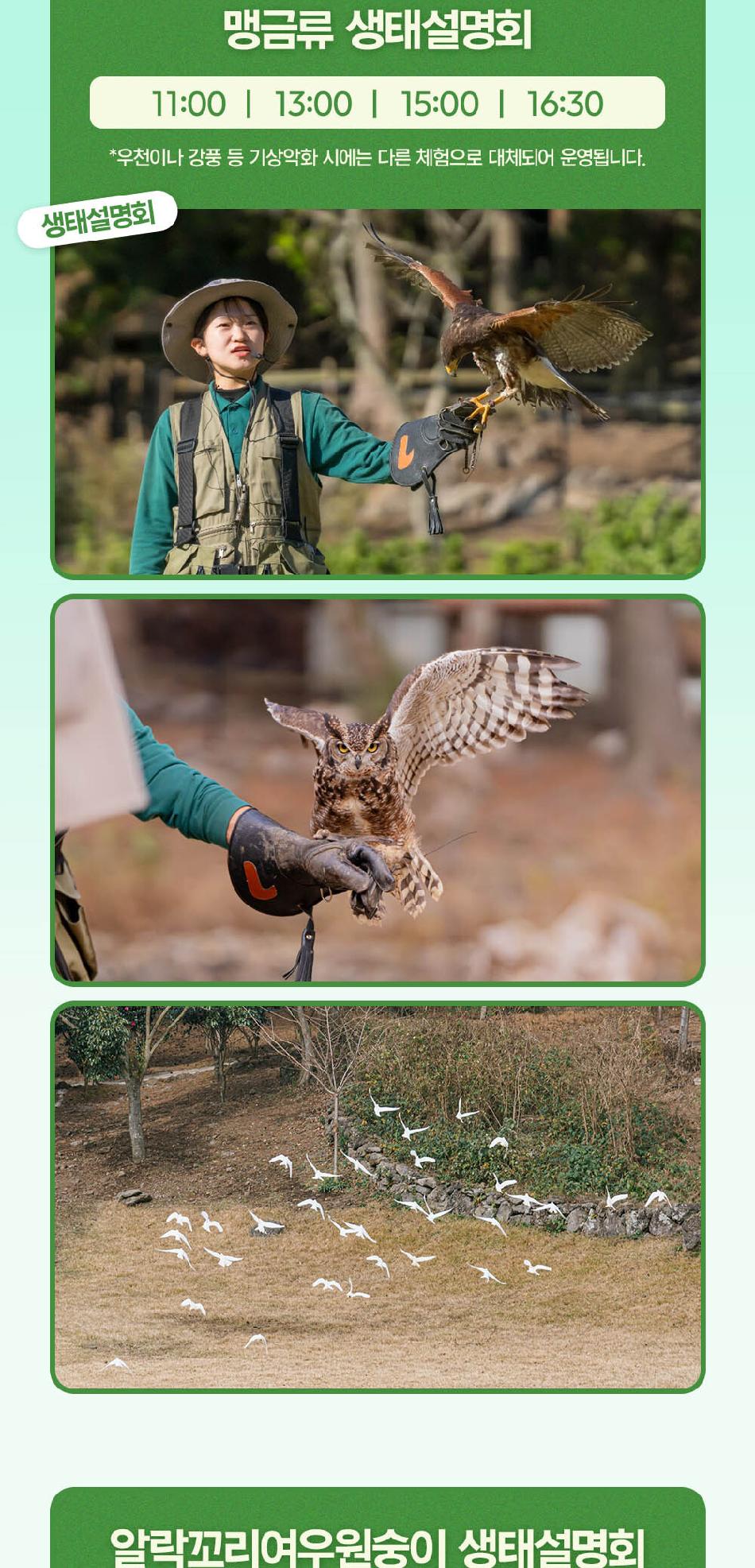 상품 상세 이미지 5