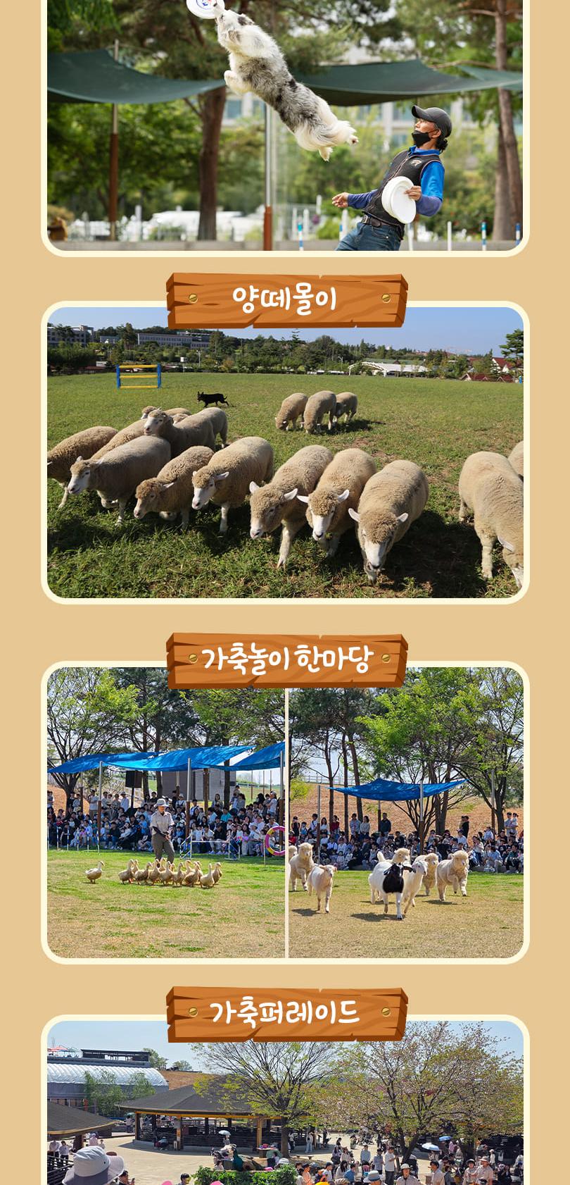 상품 상세 이미지 13