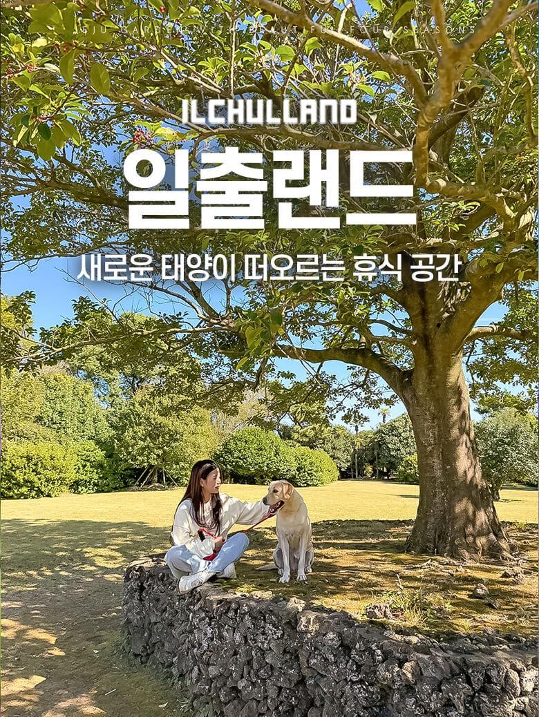 상품 상세 이미지 2