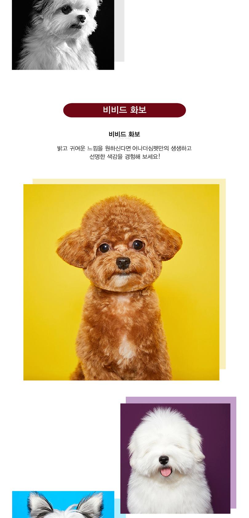 상품 상세 이미지 5