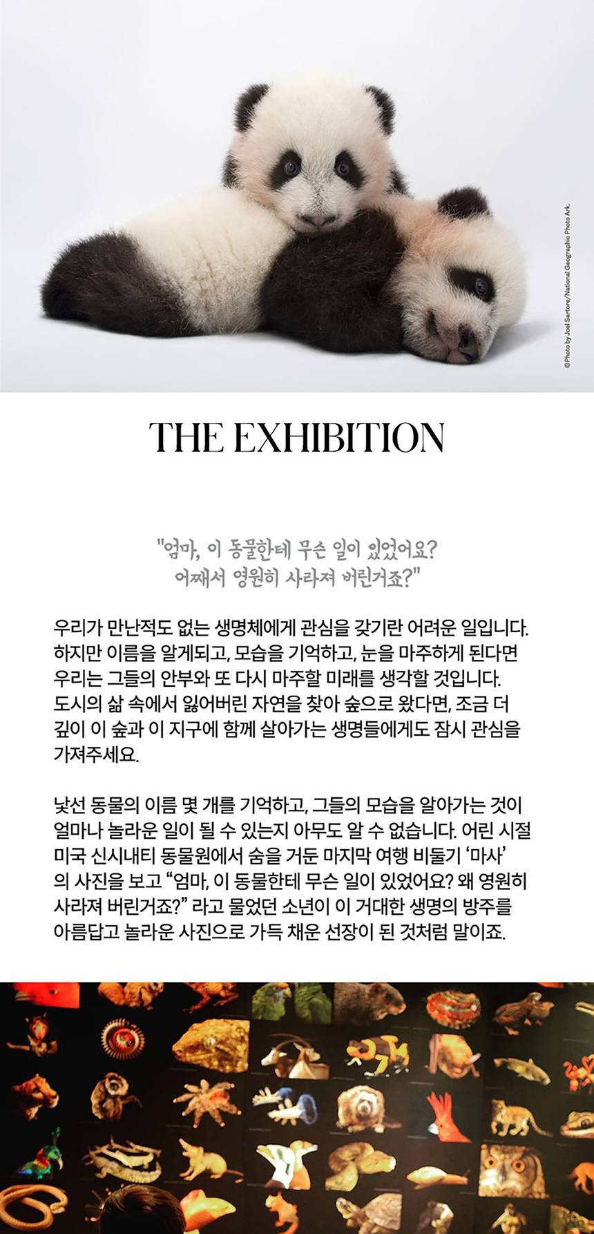 상품 상세 이미지 3