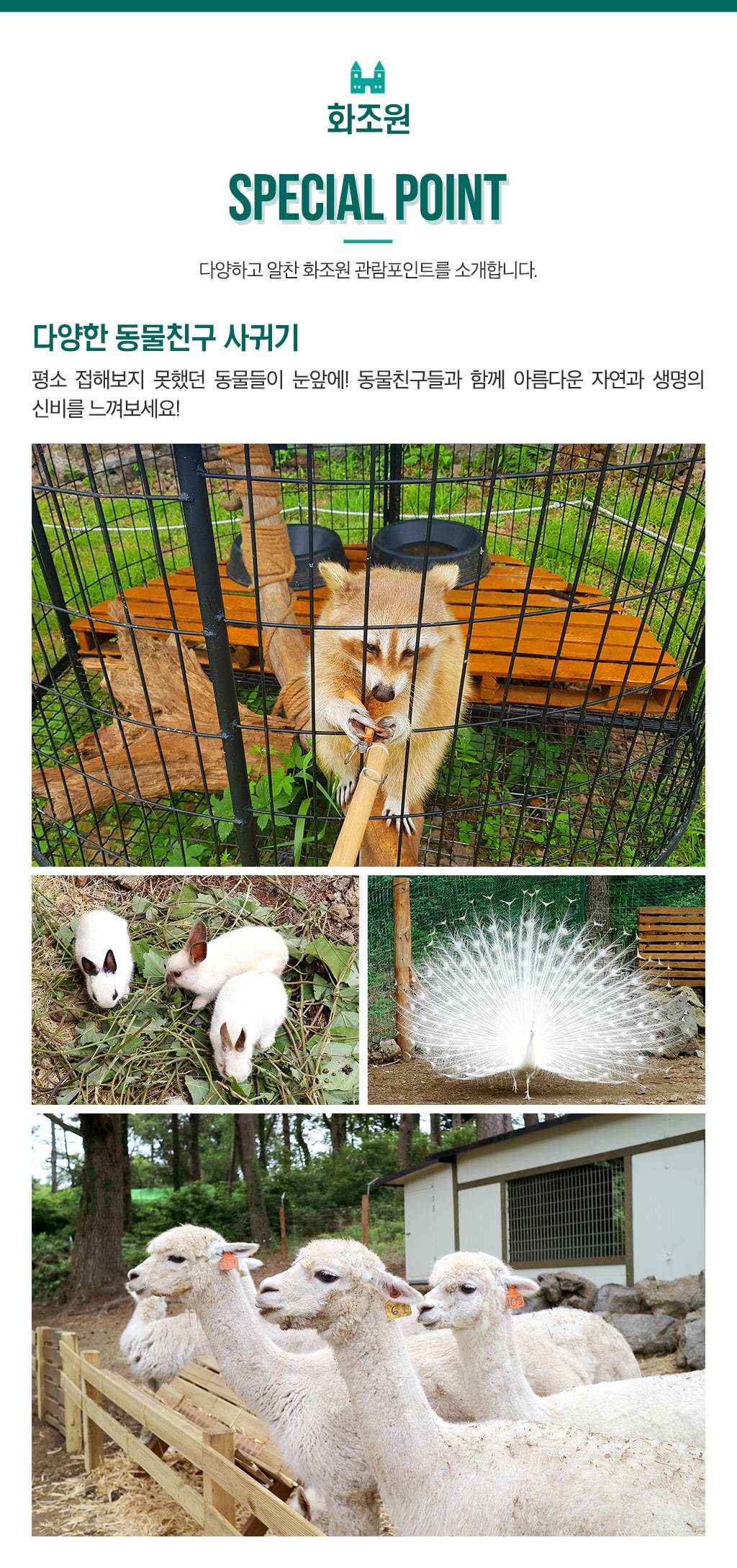 상품 상세 이미지 2