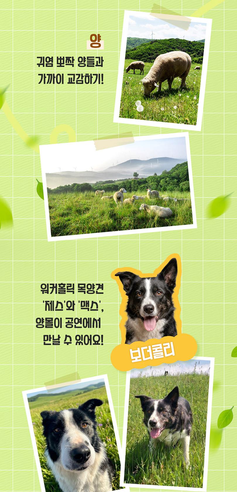 상품 상세 이미지 6