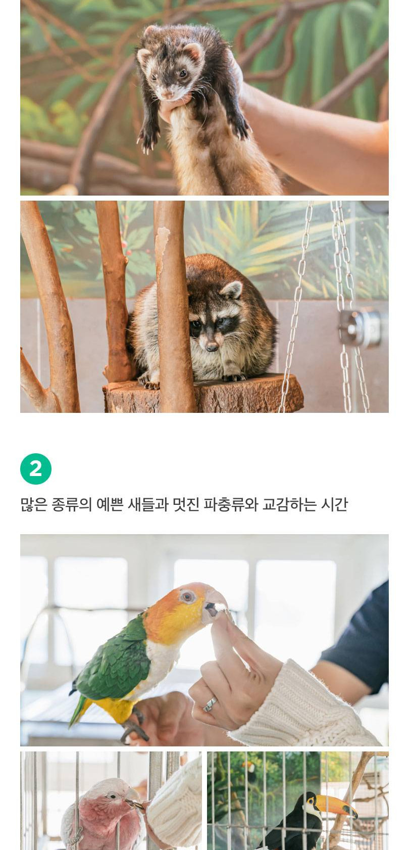 상품 상세 이미지 4