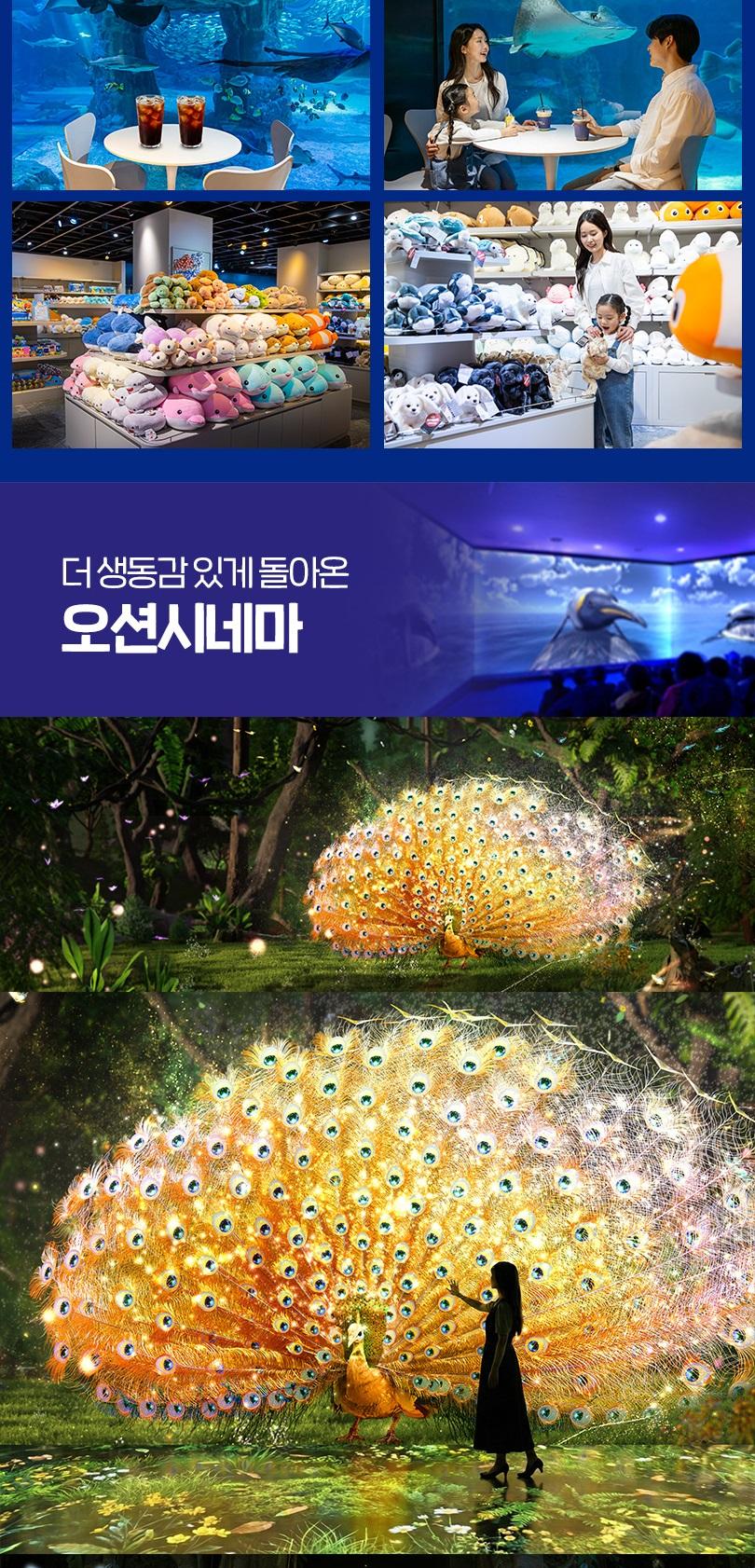 상품 상세 이미지 12