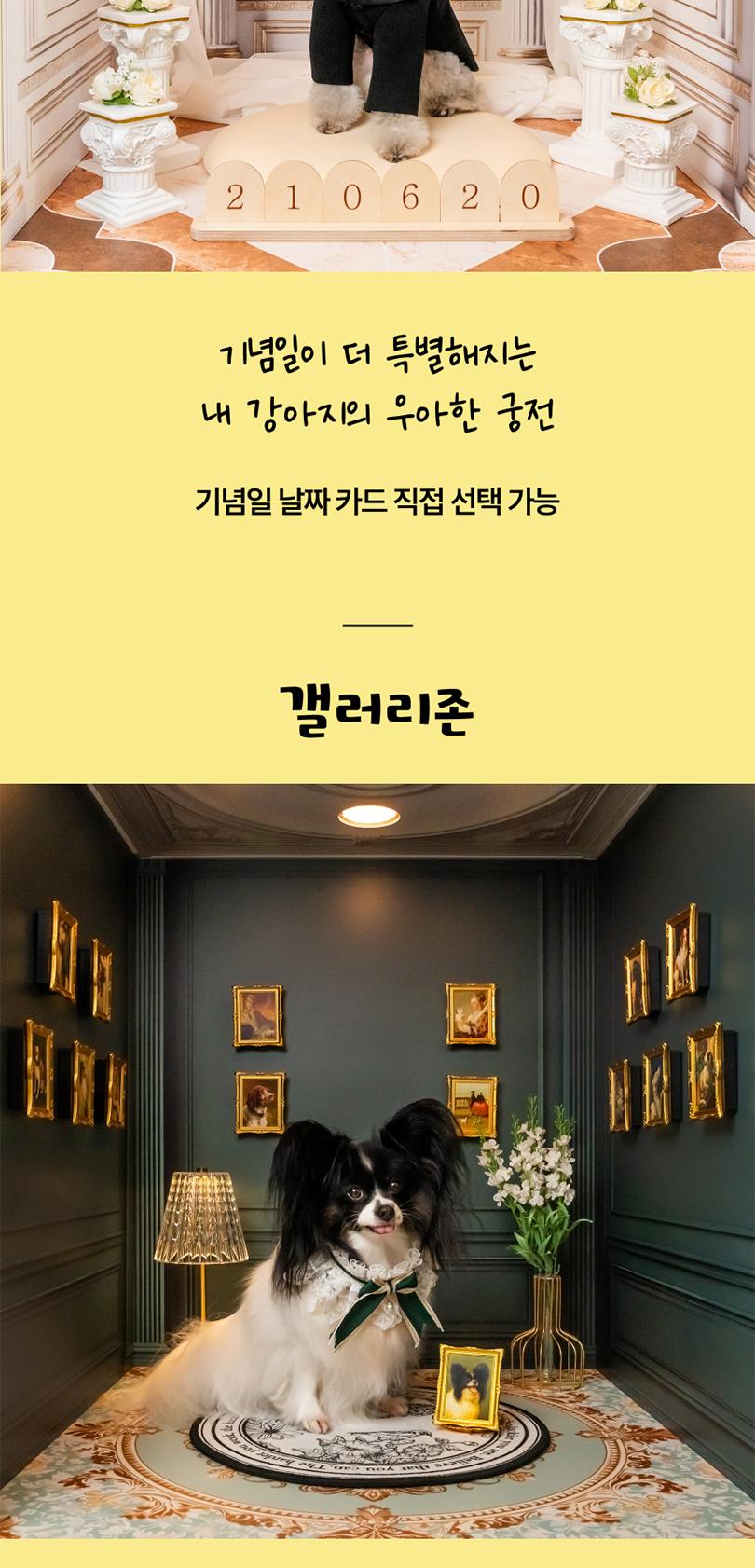 상품 상세 이미지 6