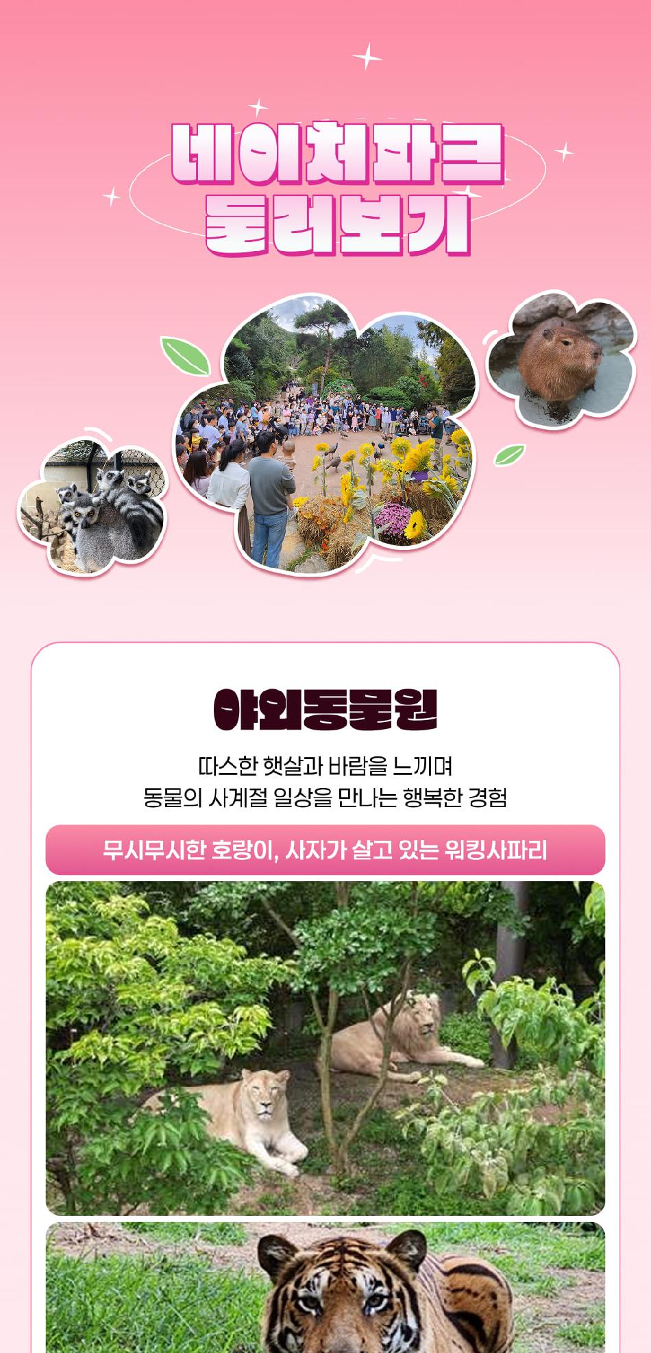 상품 상세 이미지 8