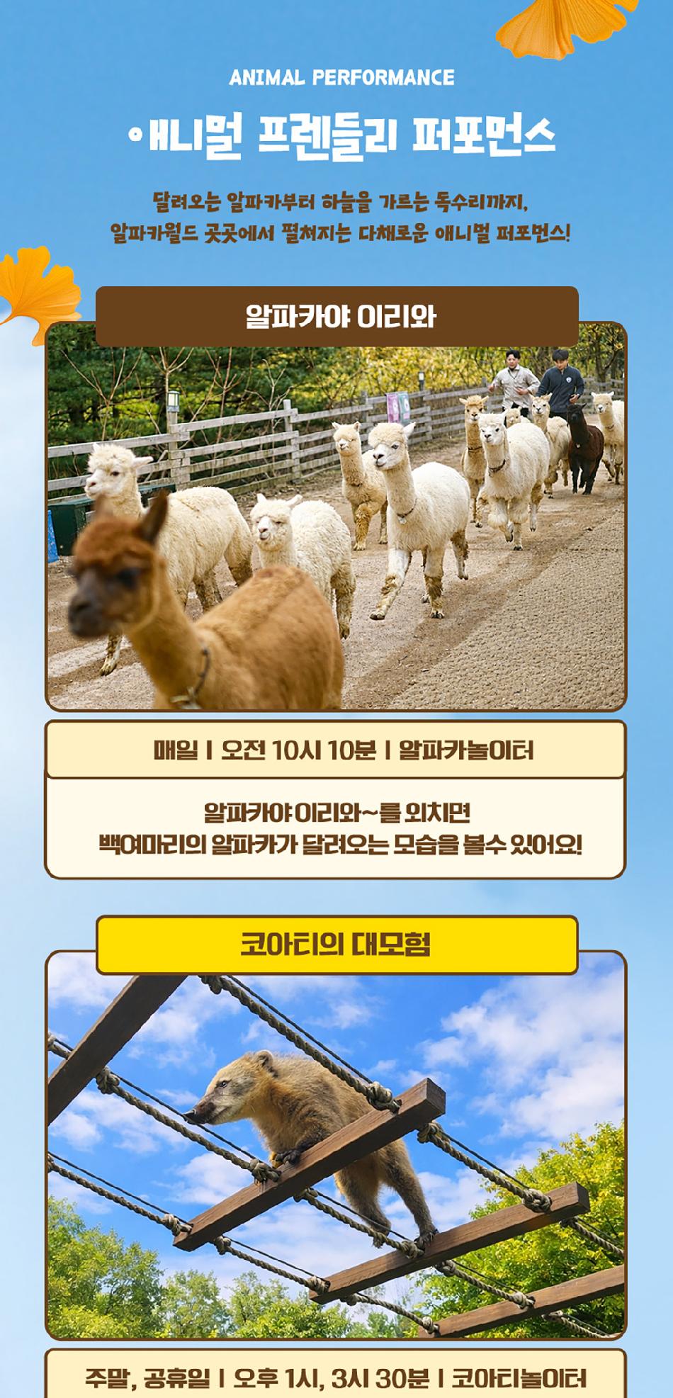 상품 상세 이미지 12