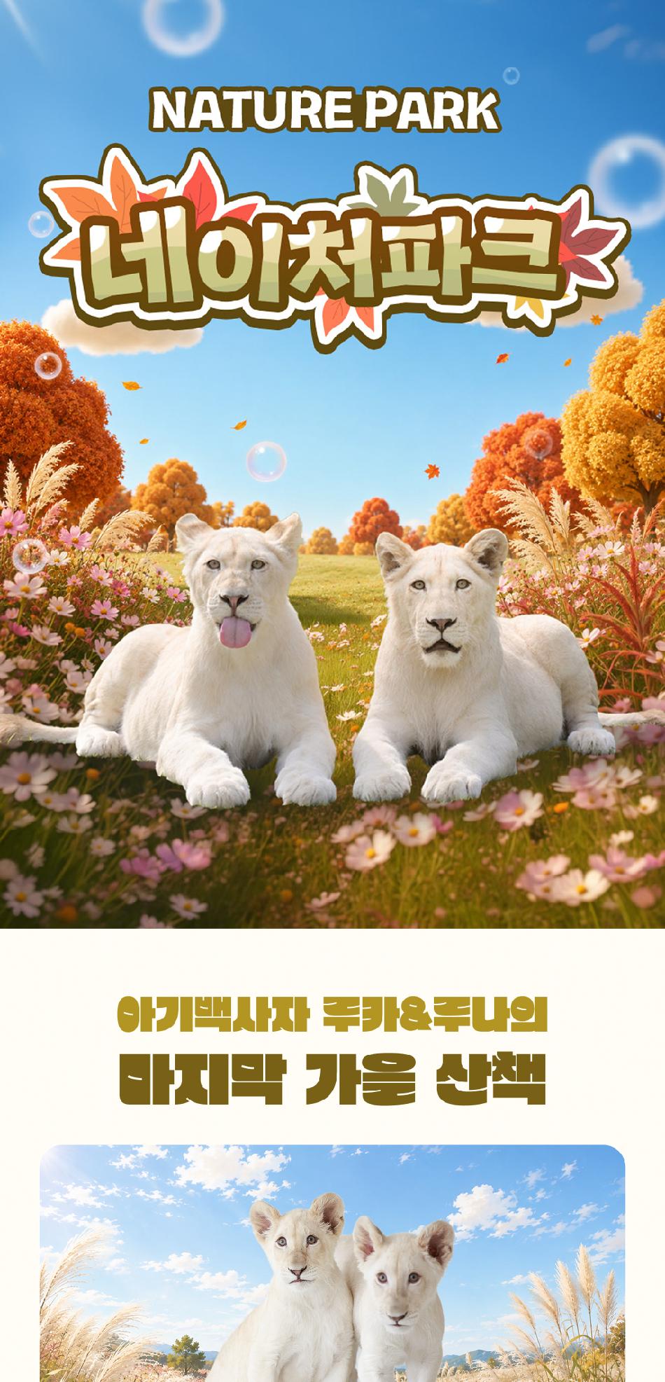상품 상세 이미지 3