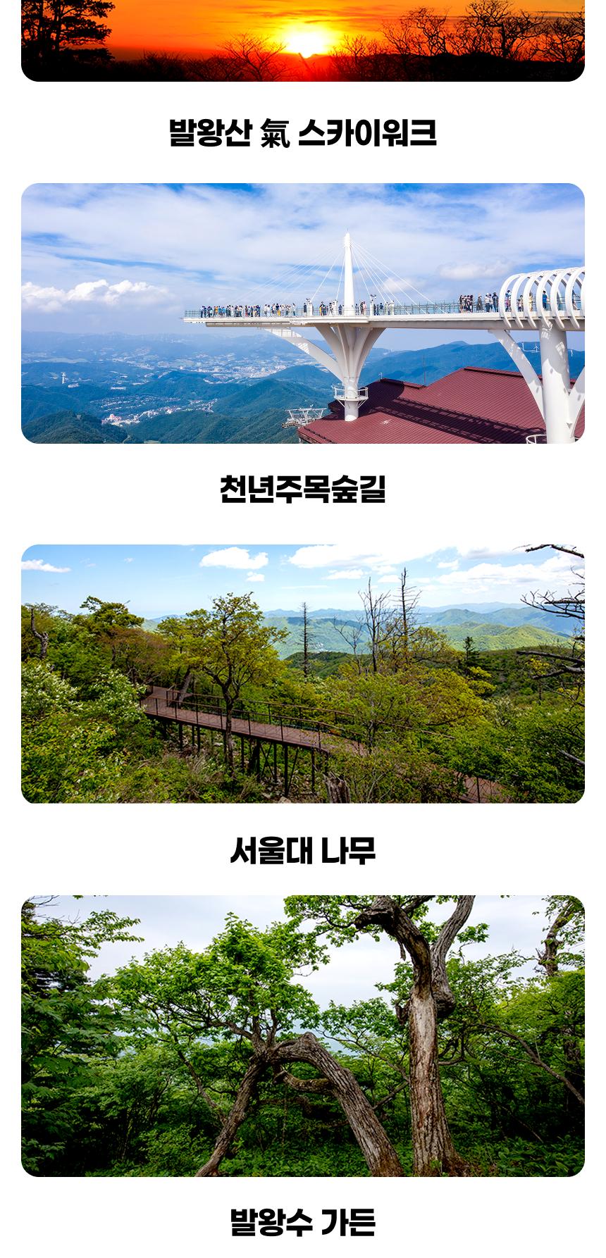 상품 상세 이미지 5