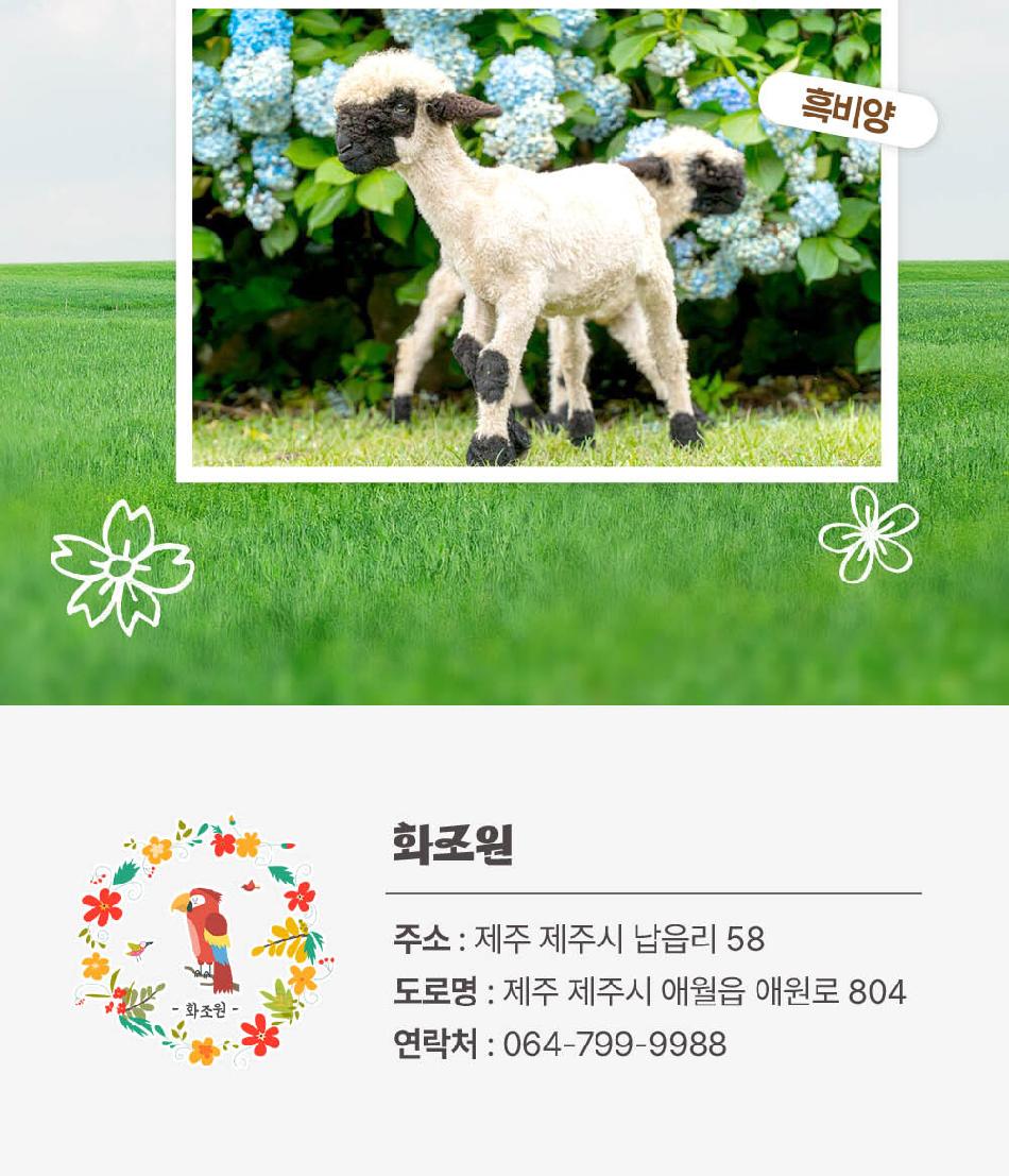 상품 상세 이미지 11