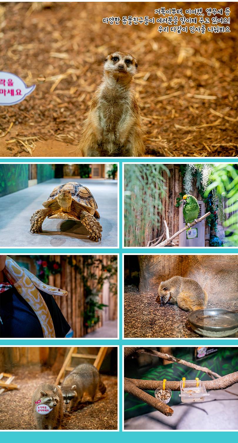 상품 상세 이미지 5