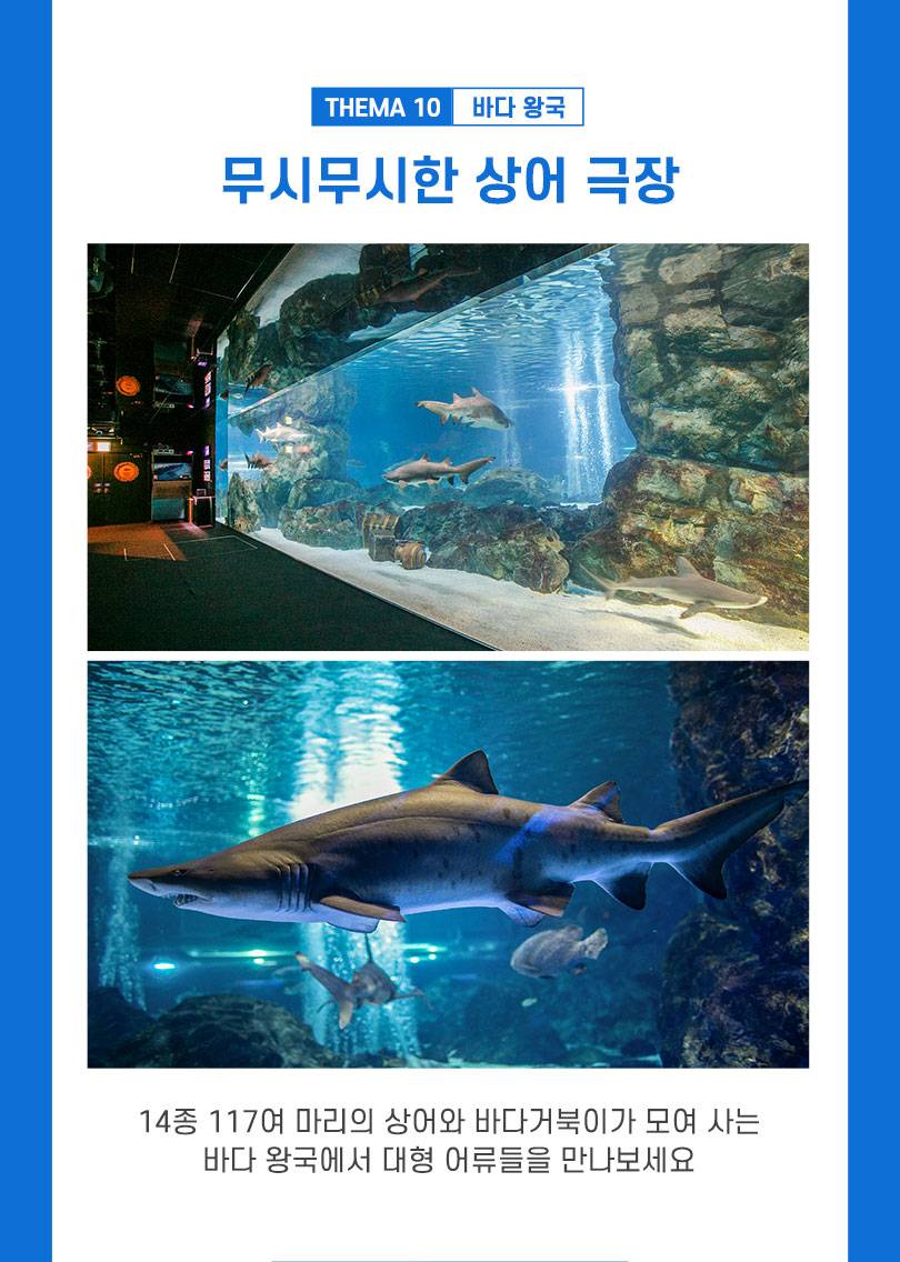 상품 상세 이미지 7