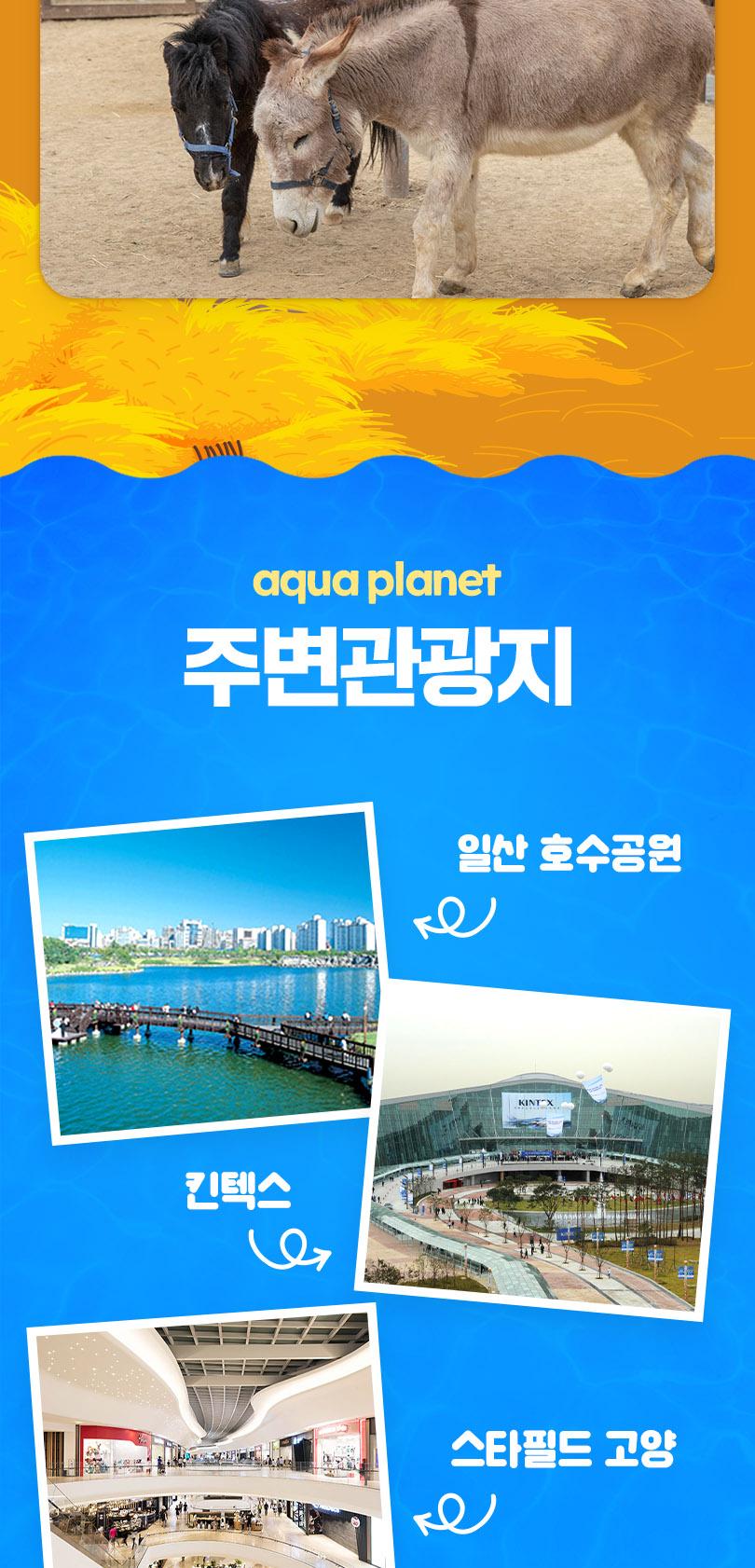 상품 상세 이미지 13