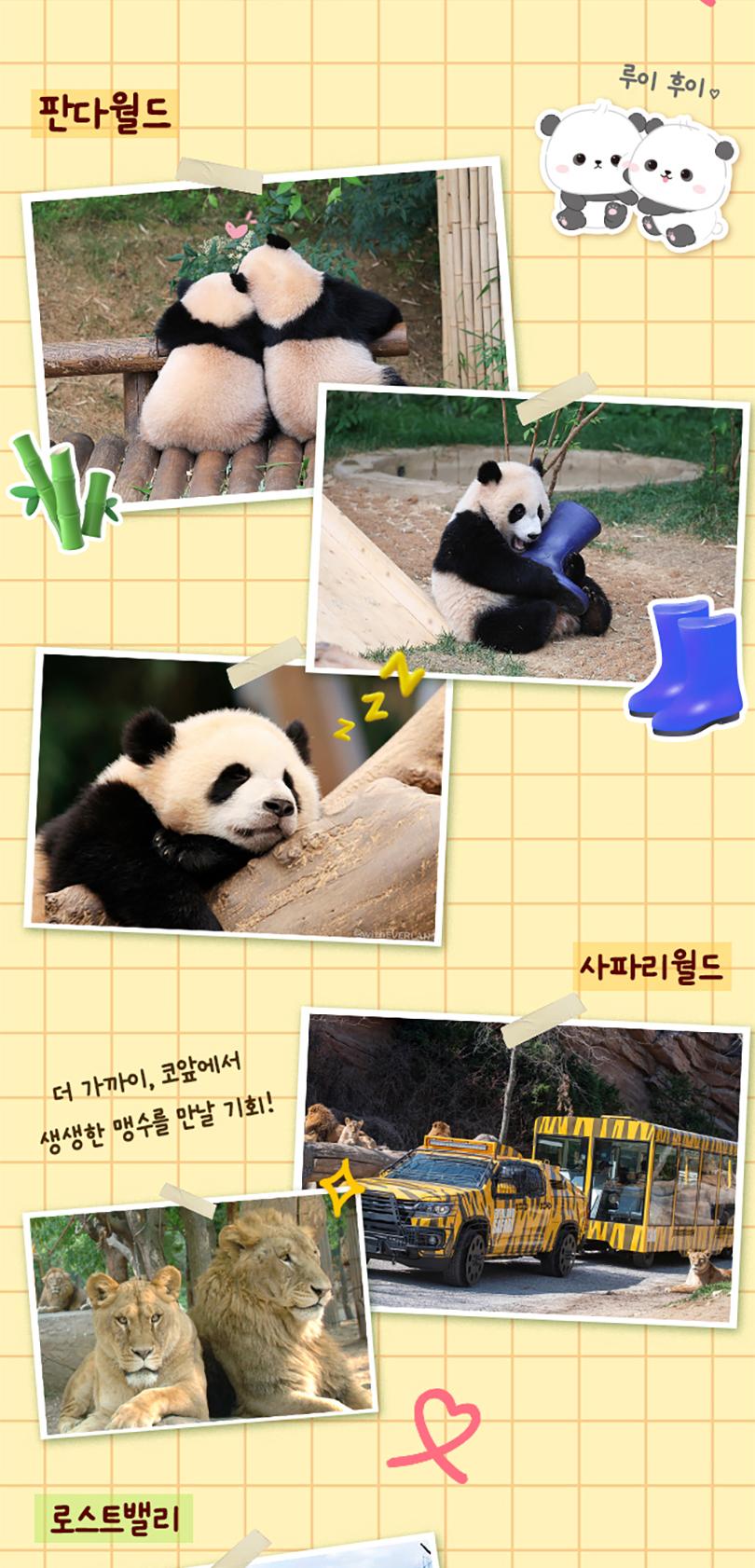 상품 상세 이미지 11