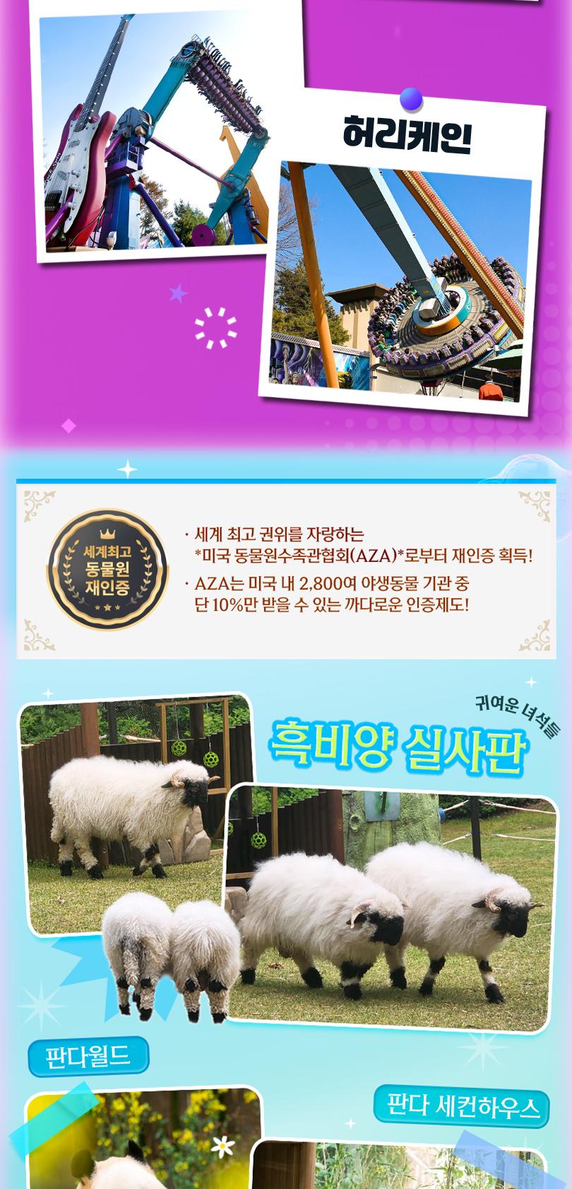 에버랜드 종일이용권+ Q-PASS 2종 패키지