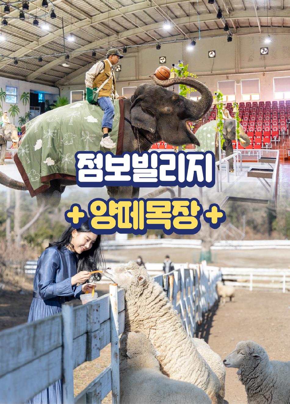 상품 상세 이미지 3