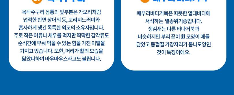 상품 상세 이미지 10