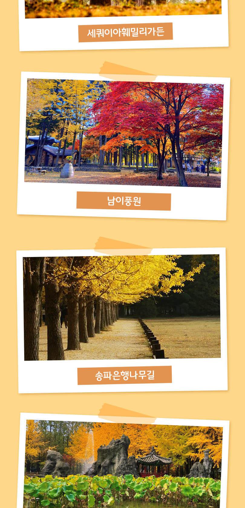 상품 상세 이미지 5