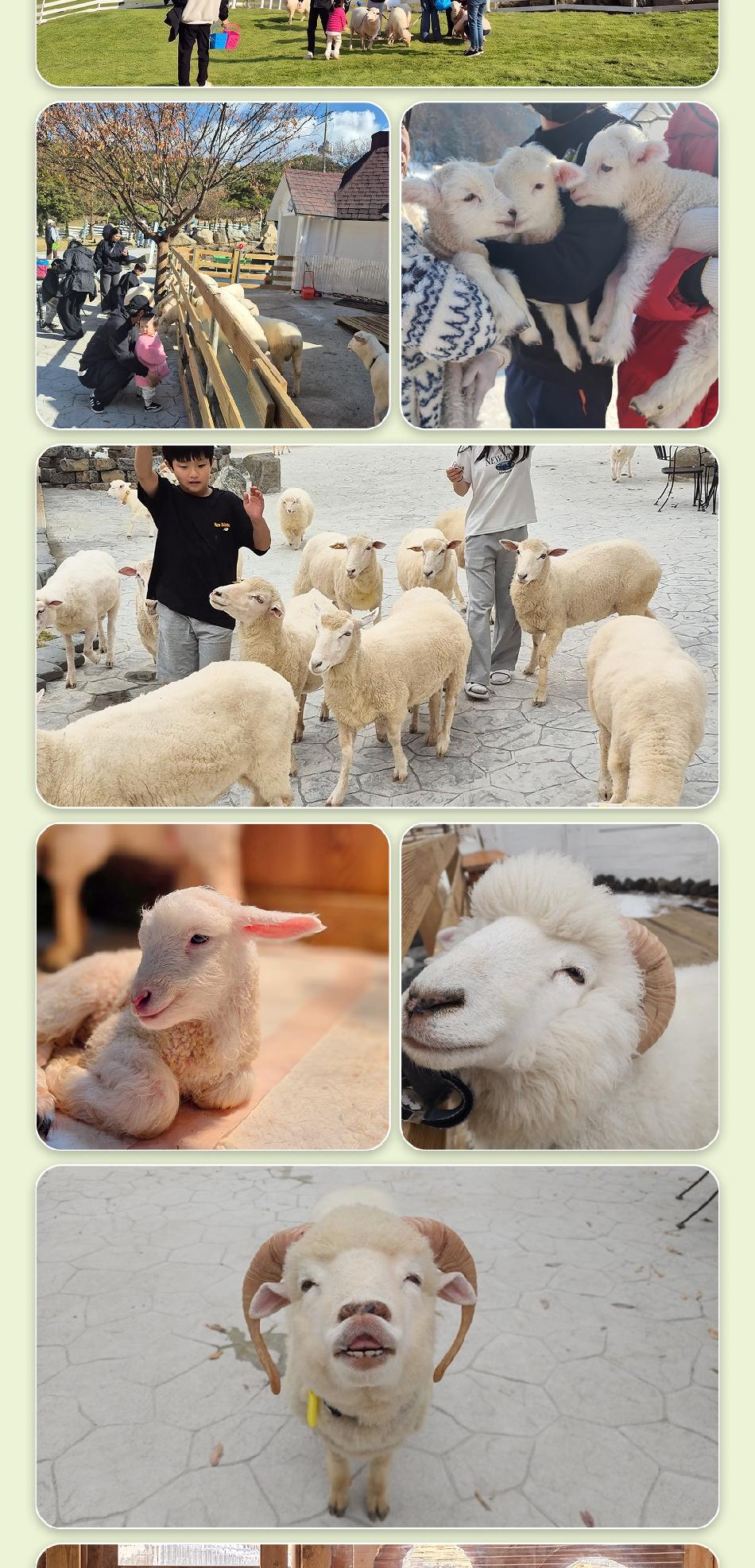 상품 상세 이미지 7