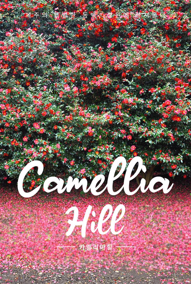 상품 상세 이미지 4