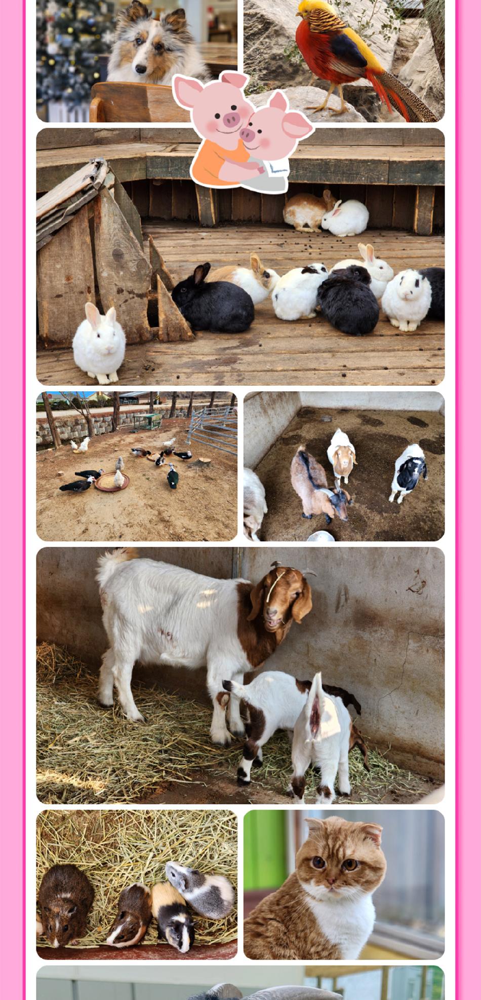 상품 상세 이미지 11