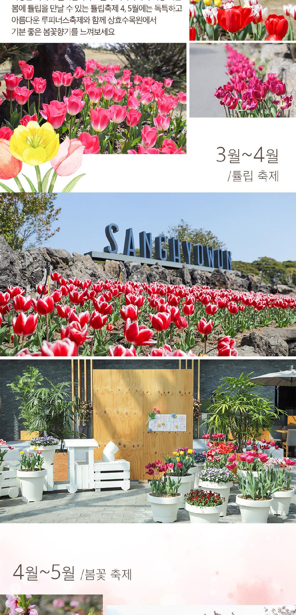 상품 상세 이미지 8