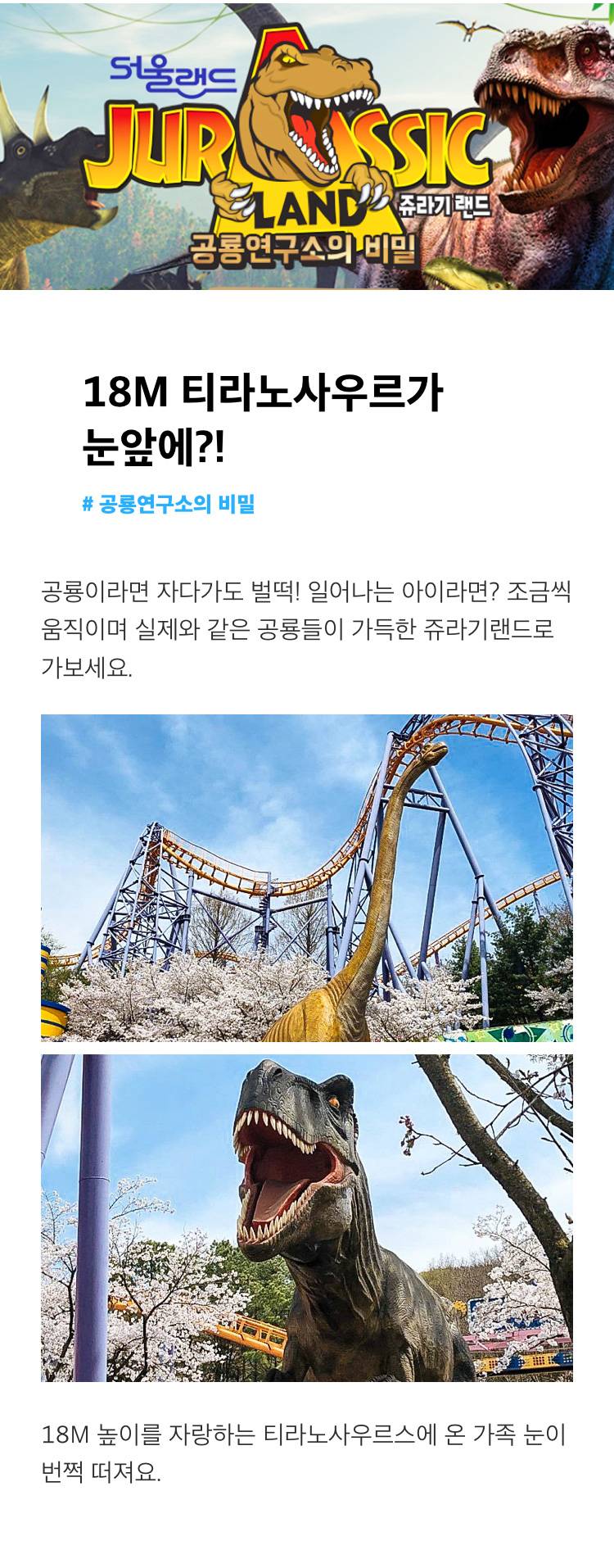 상품 상세 이미지 4