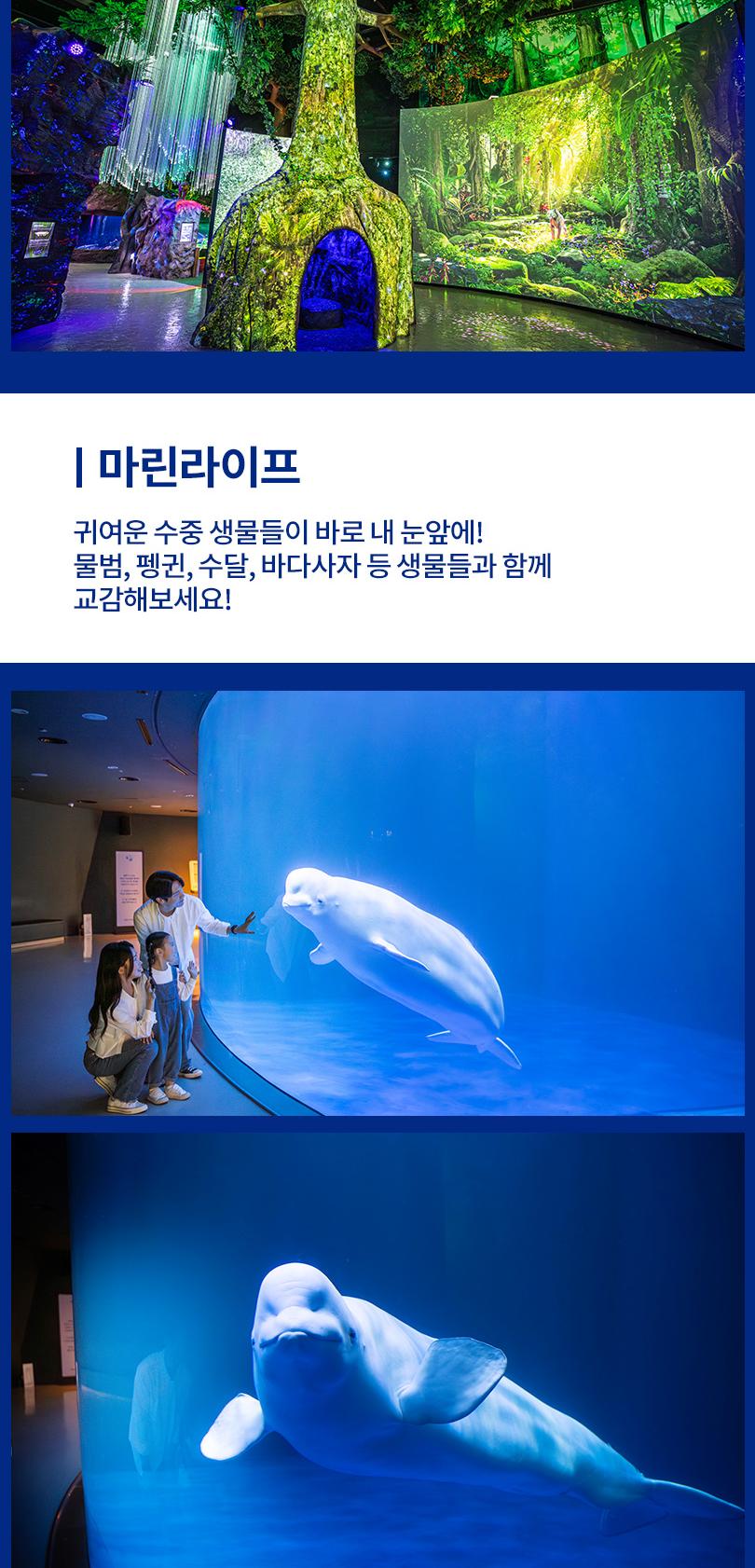상품 상세 이미지 7