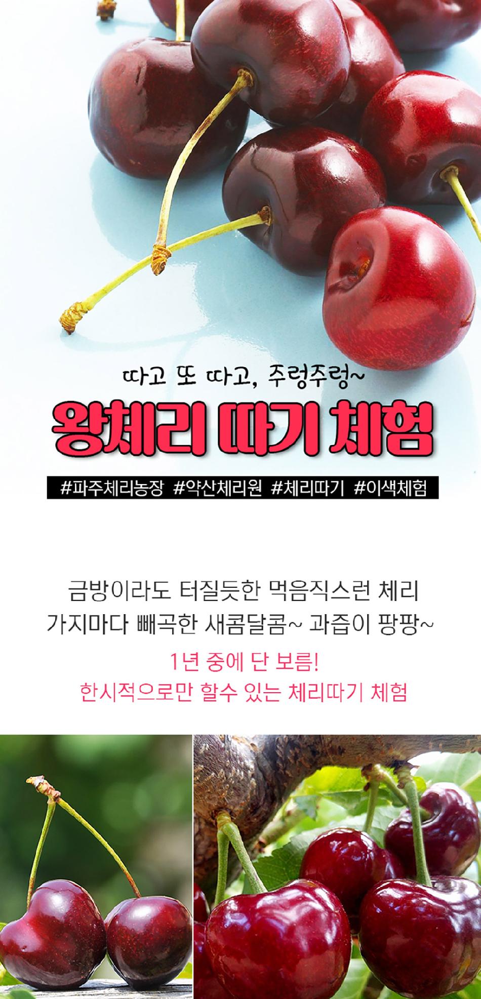 상품 상세 이미지 2
