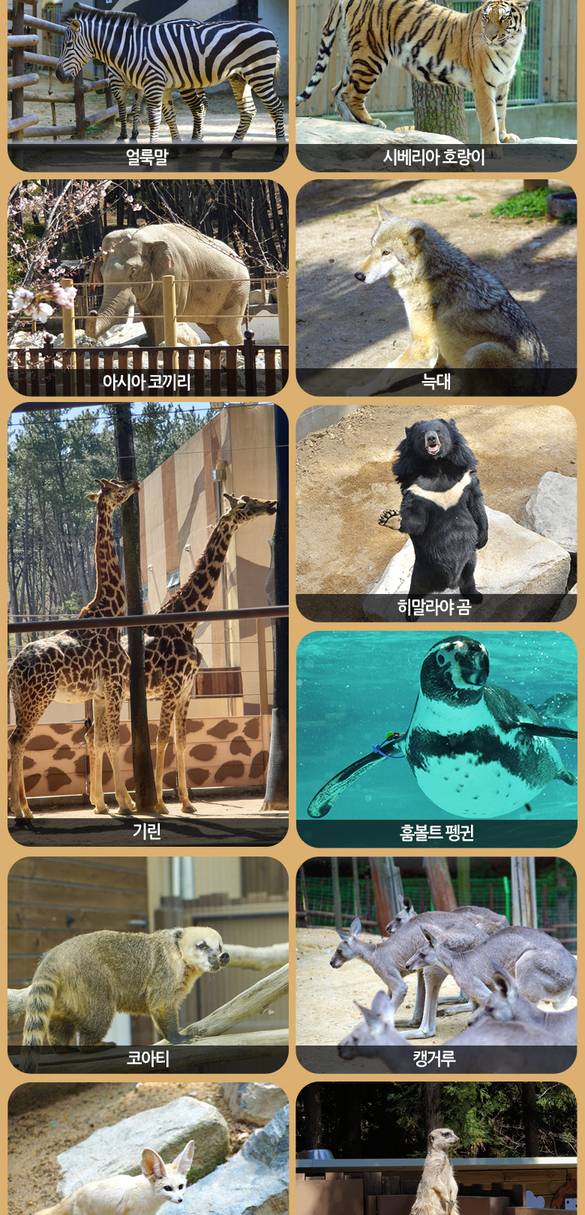 상품 상세 이미지 7