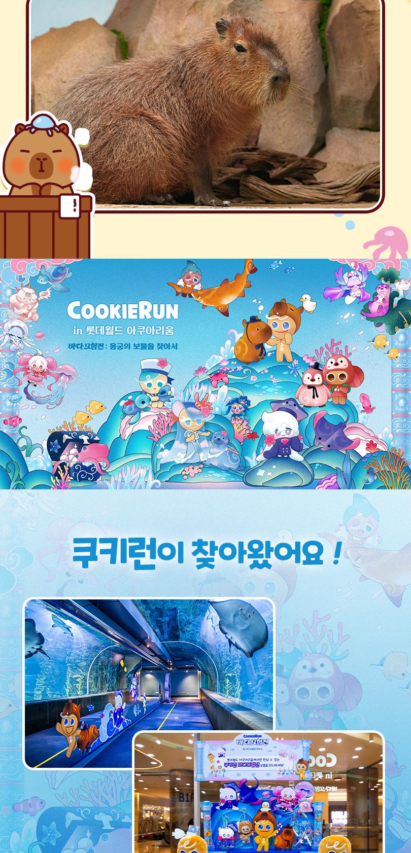 상품 상세 이미지 7