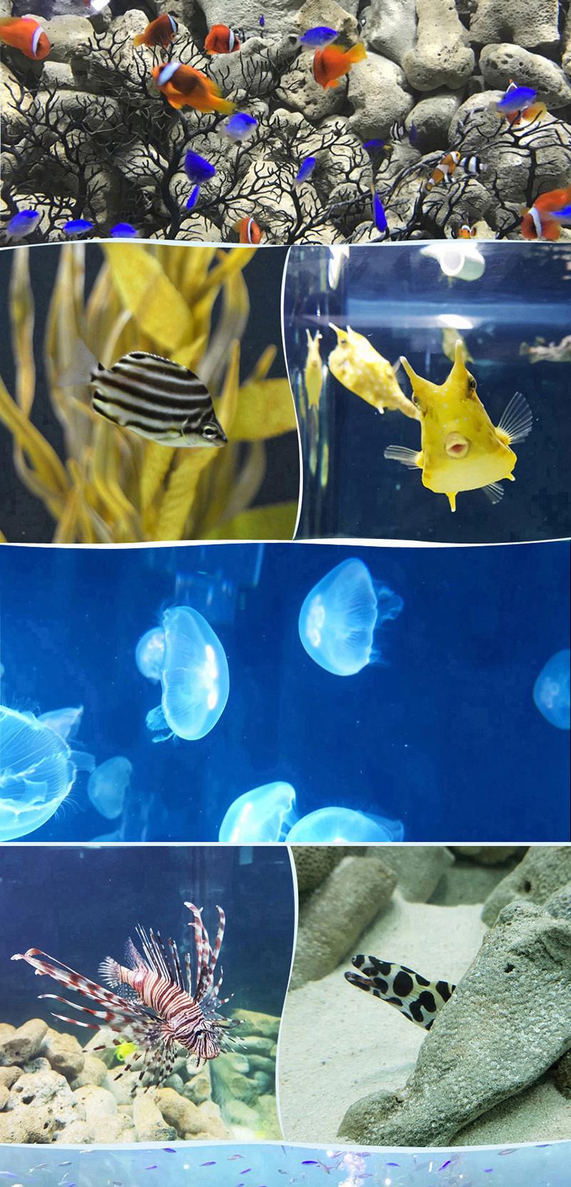 상품 상세 이미지 5