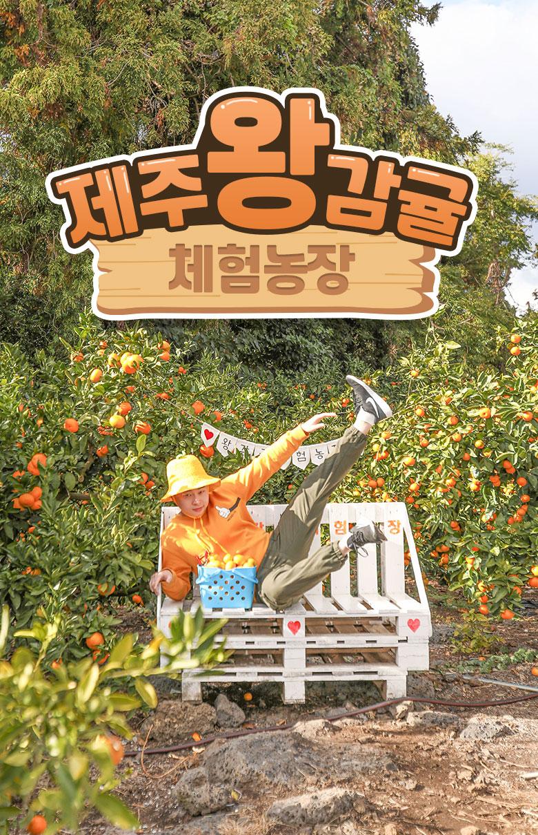 상품 상세 이미지 1