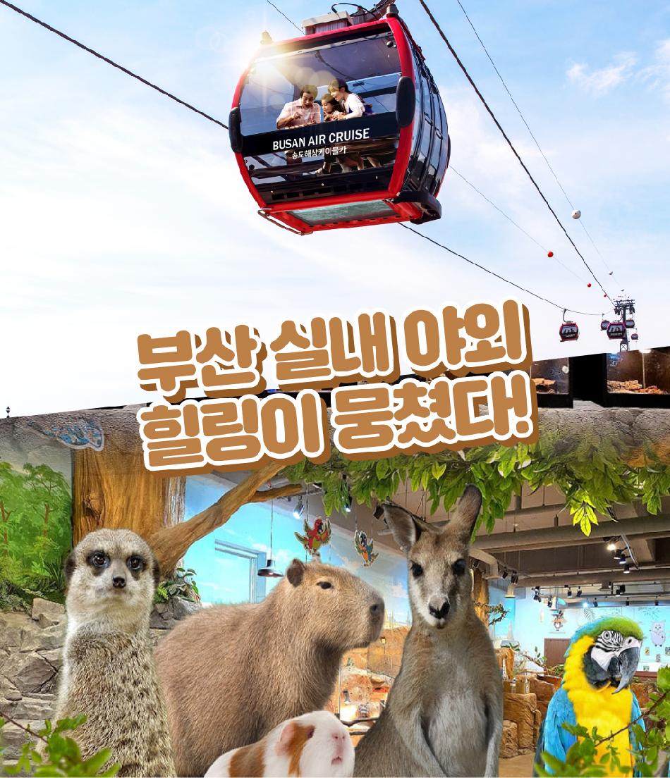 상품 상세 이미지 14