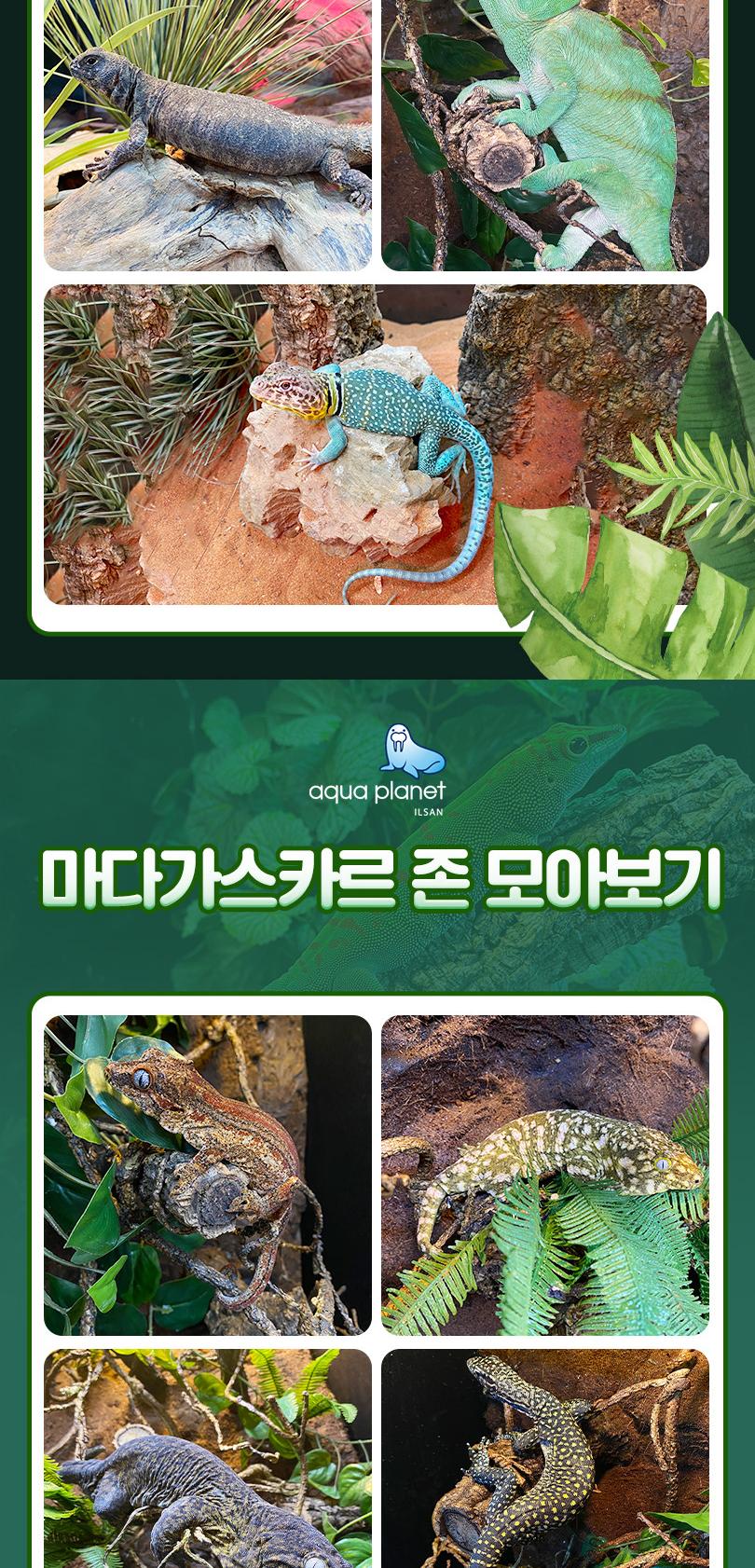 상품 상세 이미지 14