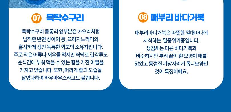 상품 상세 이미지 11