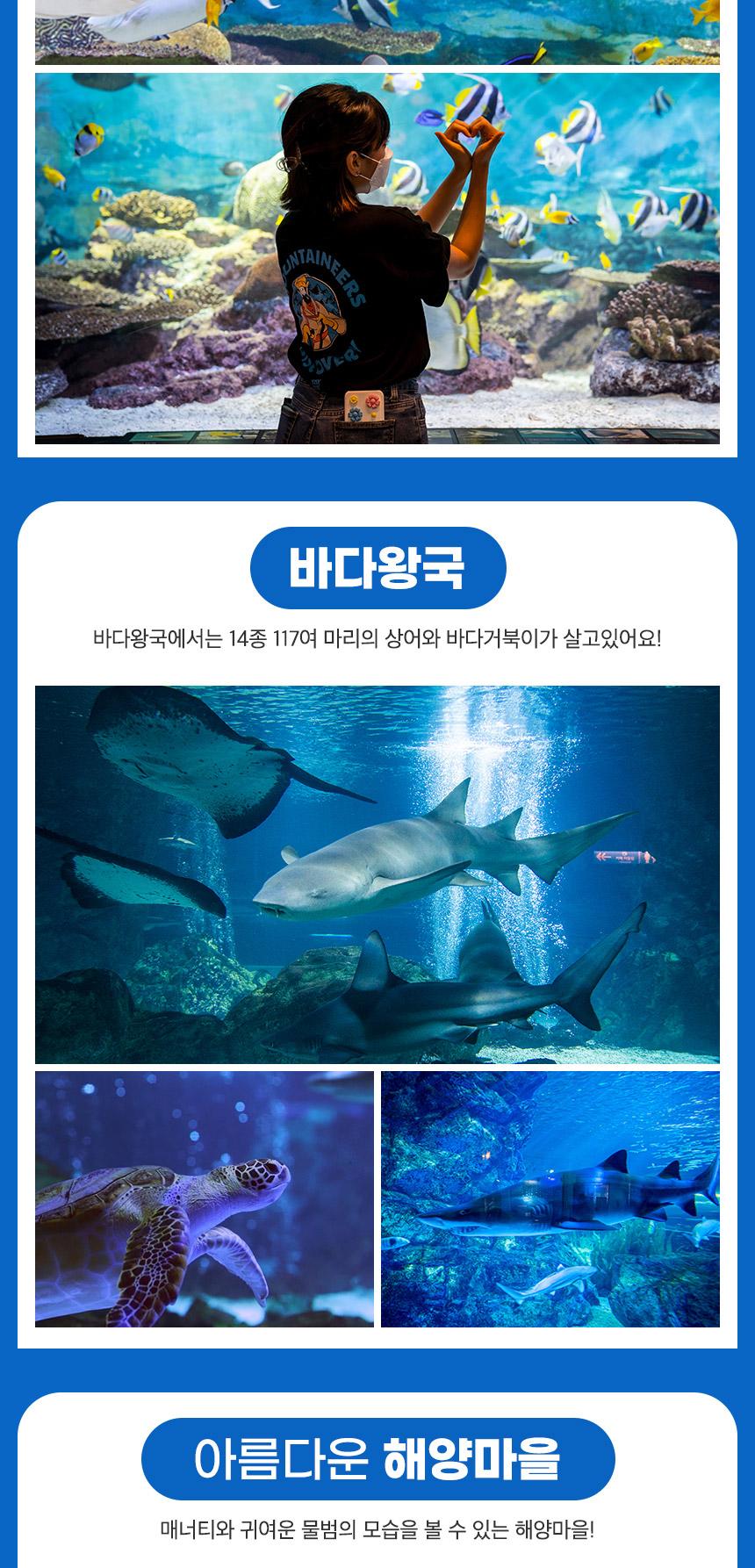 상품 상세 이미지 15