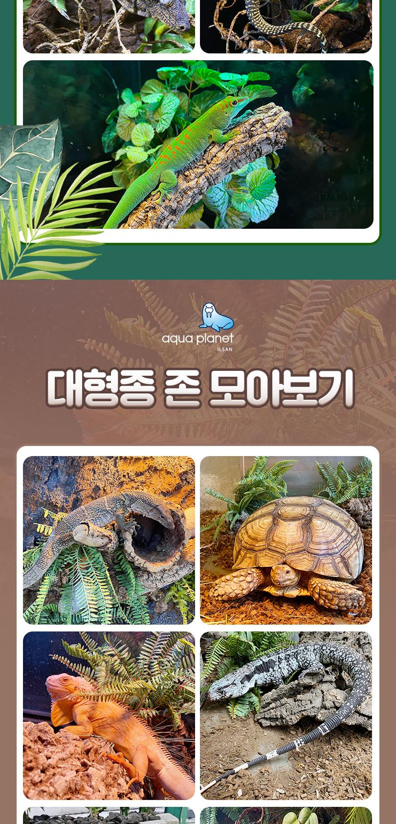 상품 상세 이미지 15
