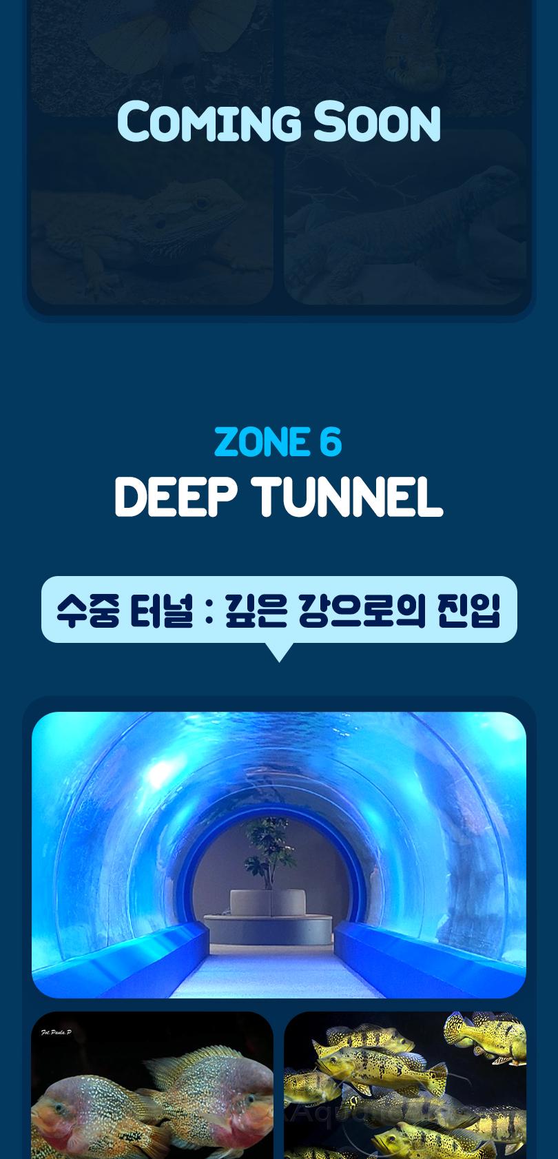 상품 상세 이미지 9