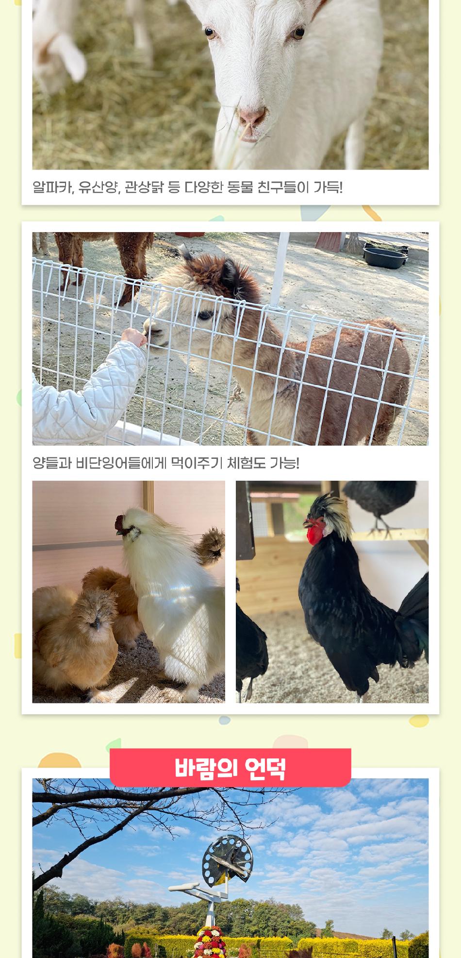상품 상세 이미지 9