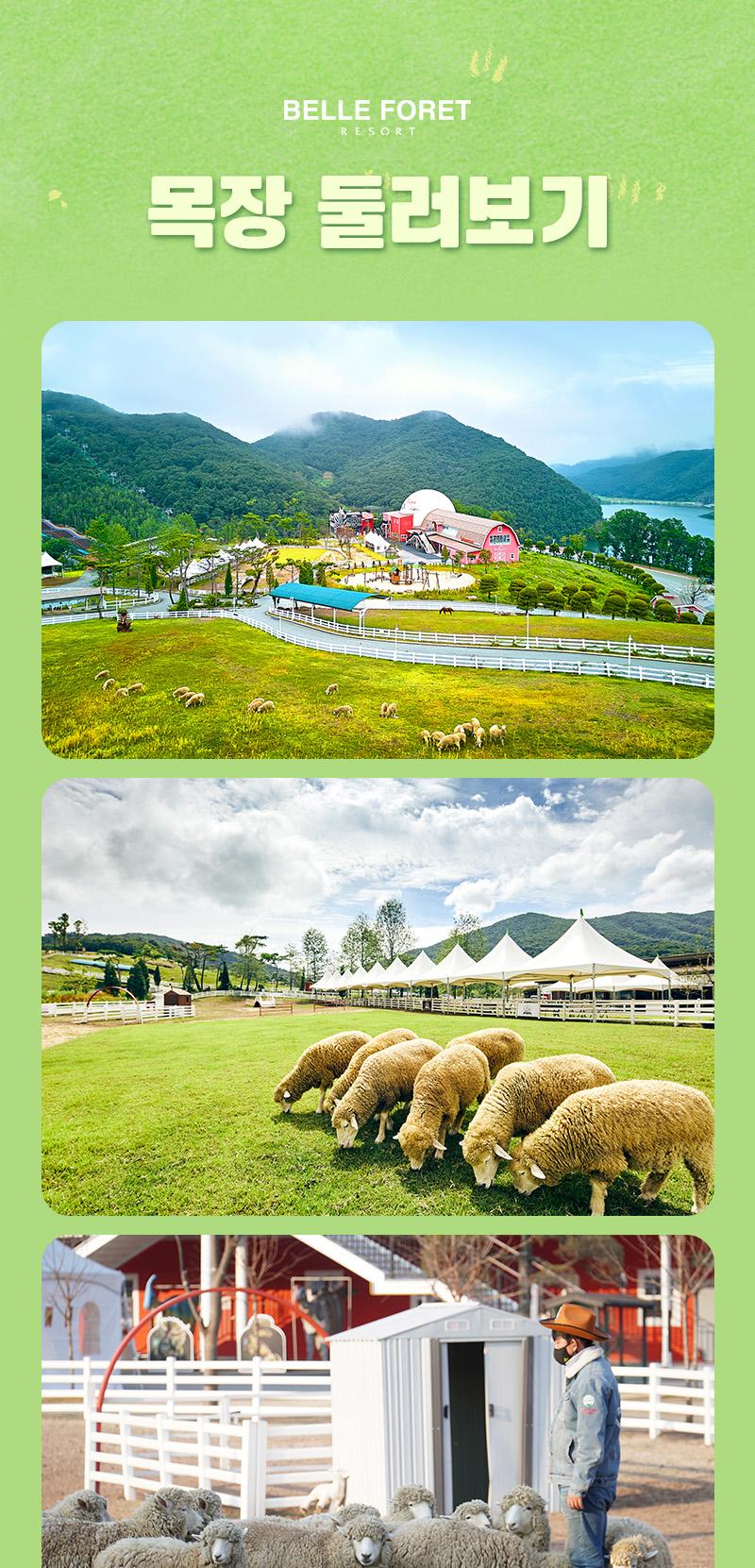 상품 상세 이미지 6