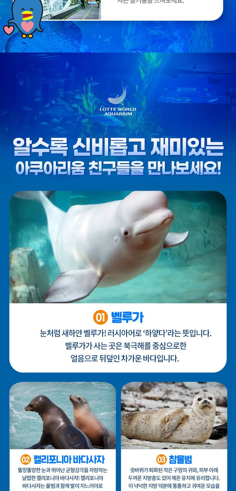 상품 상세 이미지 5