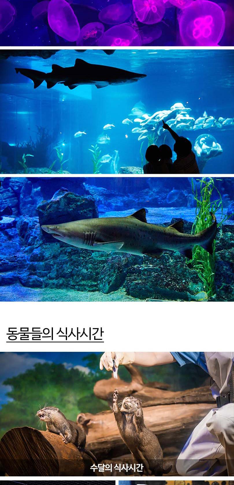 상품 상세 이미지 15
