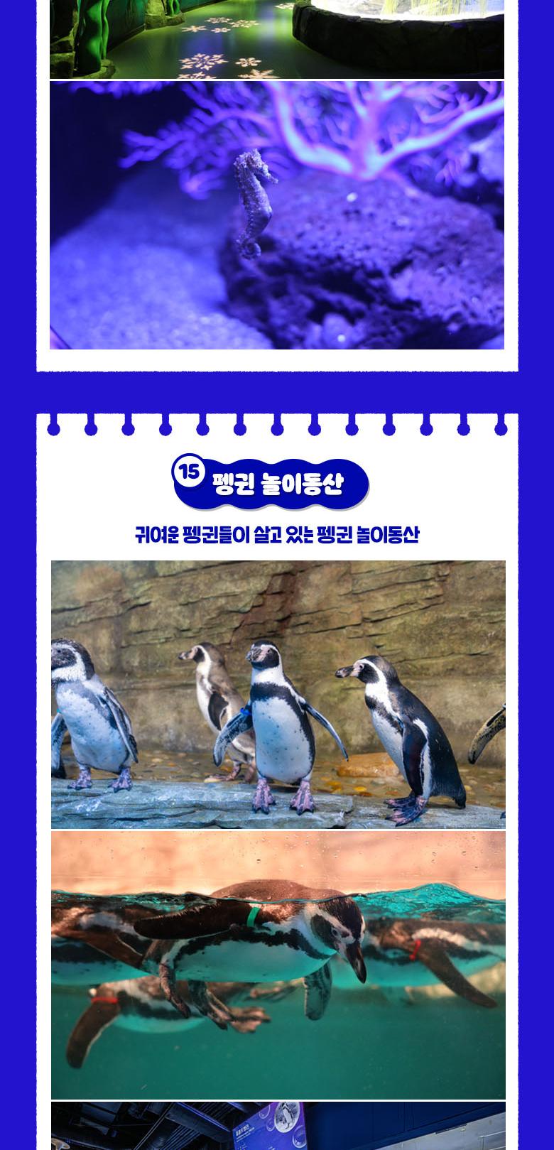 상품 상세 이미지 19