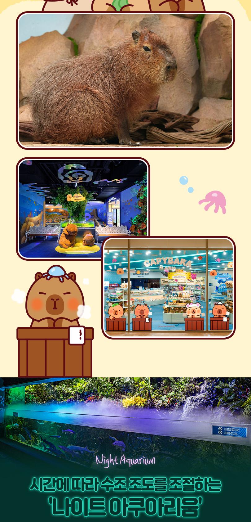 상품 상세 이미지 6