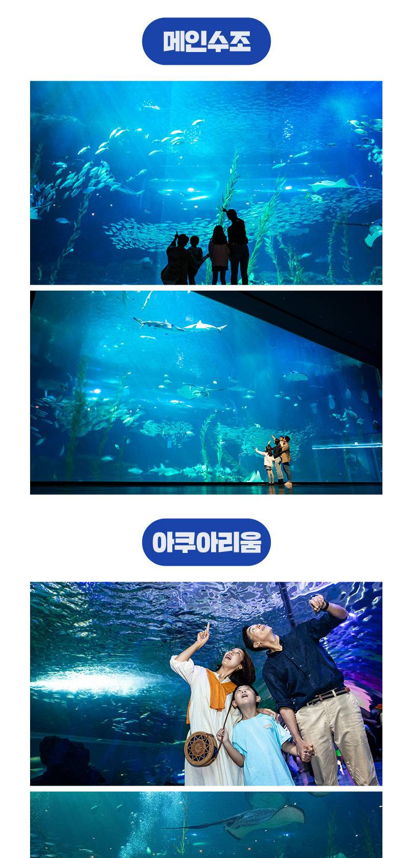 상품 상세 이미지 8