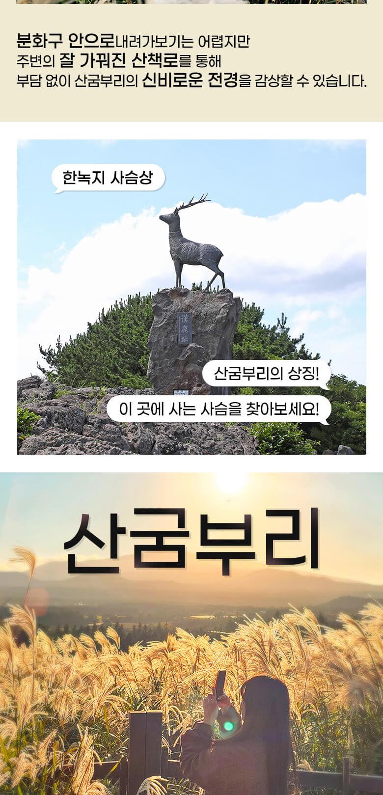 상품 상세 이미지 5