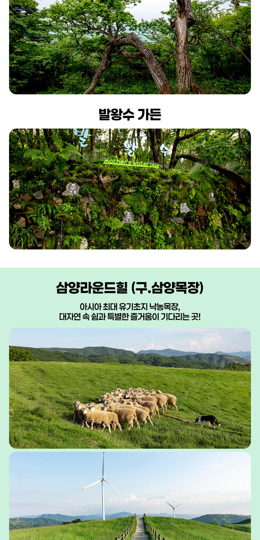 상품 상세 이미지 7